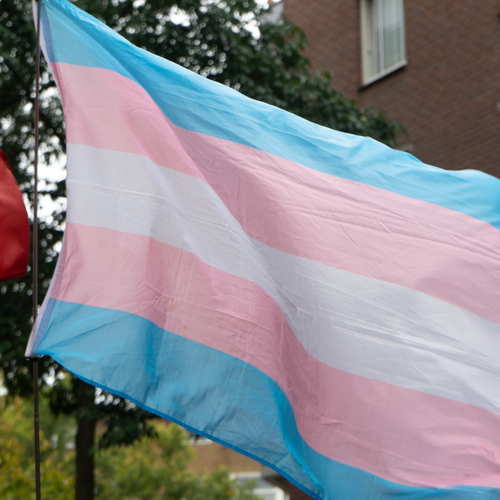 “Ik bestel zelf medicatie in het buitenland.” De obstakels voor transmensen