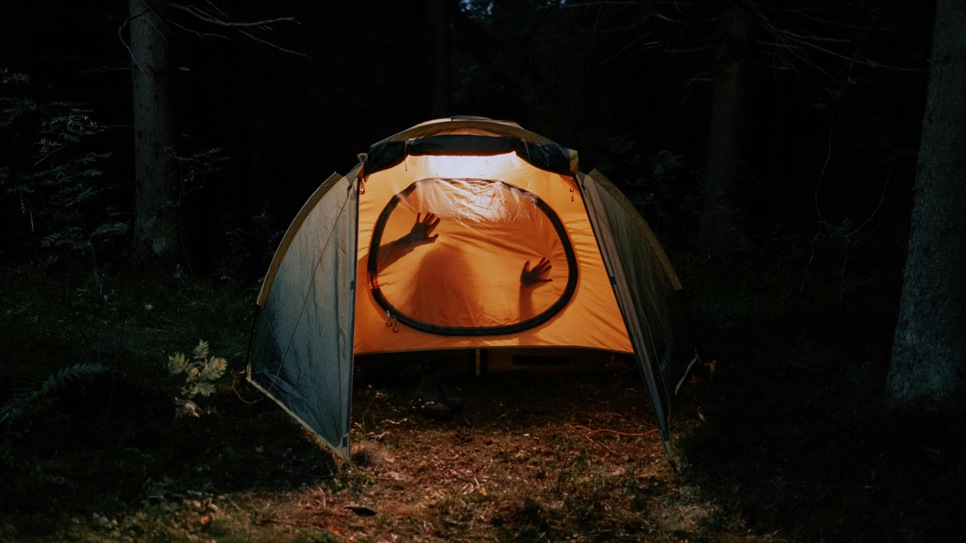 pexels-cottonbro-5994749-1724263392