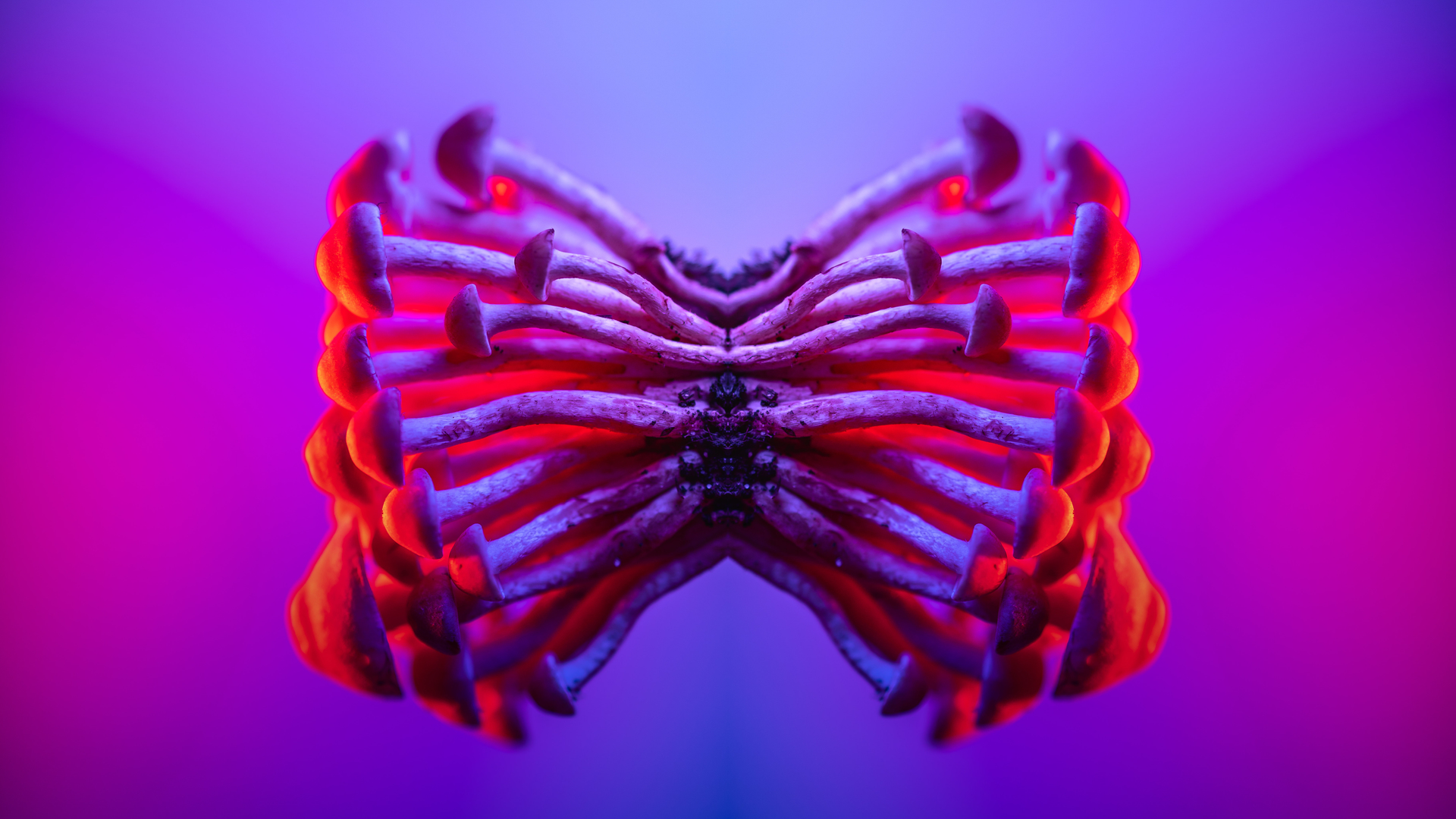 pexels-marek-piwnicki-13922609-1677684108