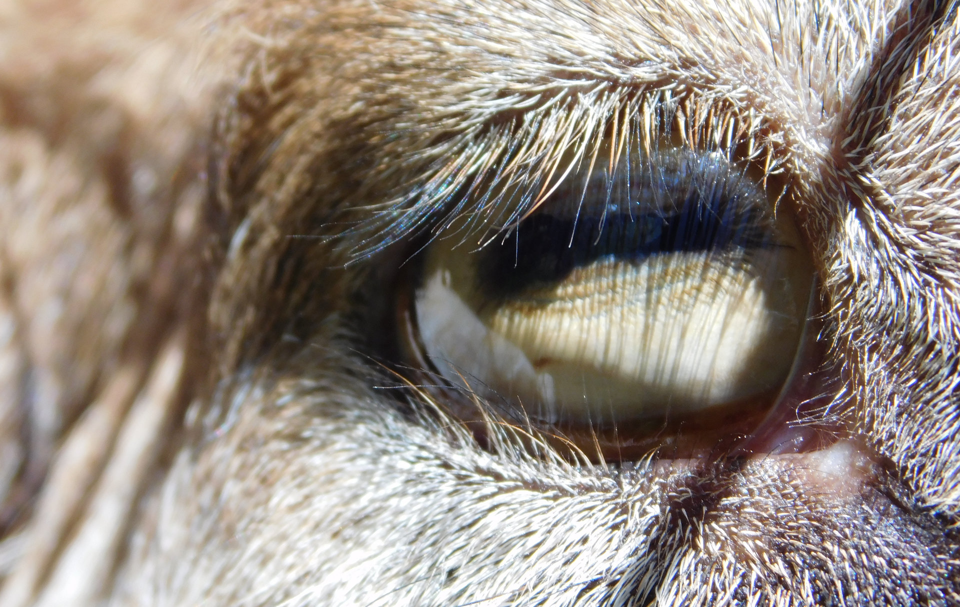 shutterstock_1680391762-1677072331