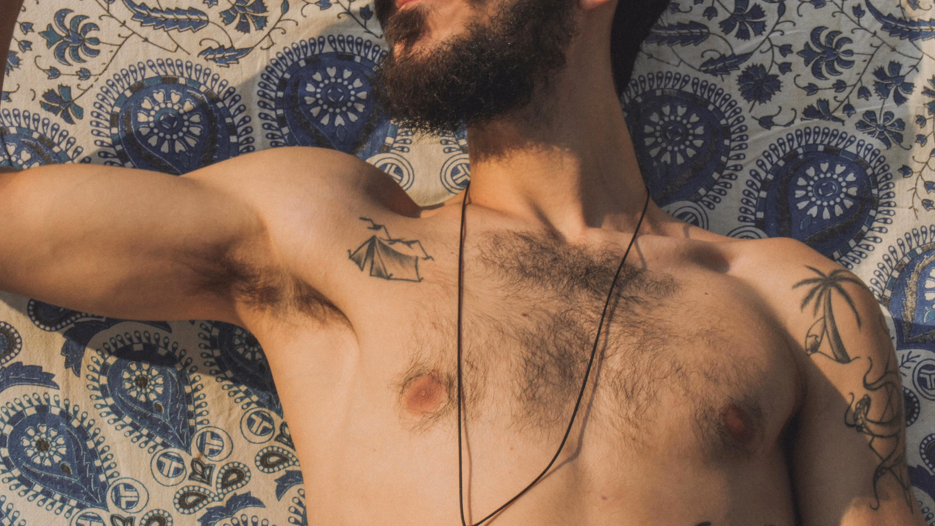 pexels-murillohm-10751344-1716447379