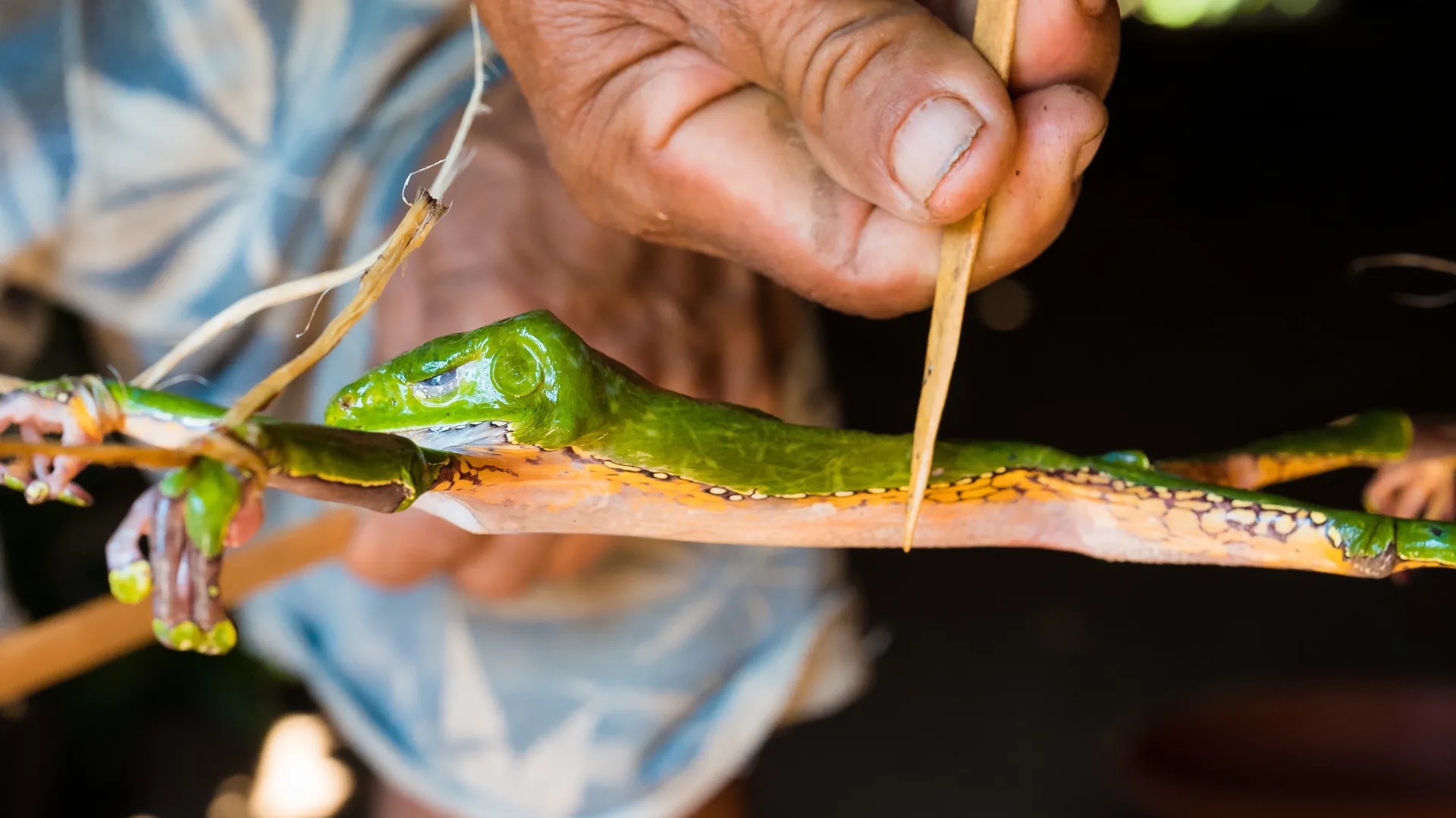 Untitled_design__72_-1702044095