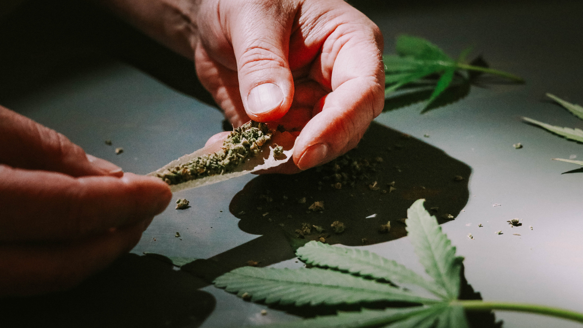 pexels-elsa-olofsson-6321773-1699979225