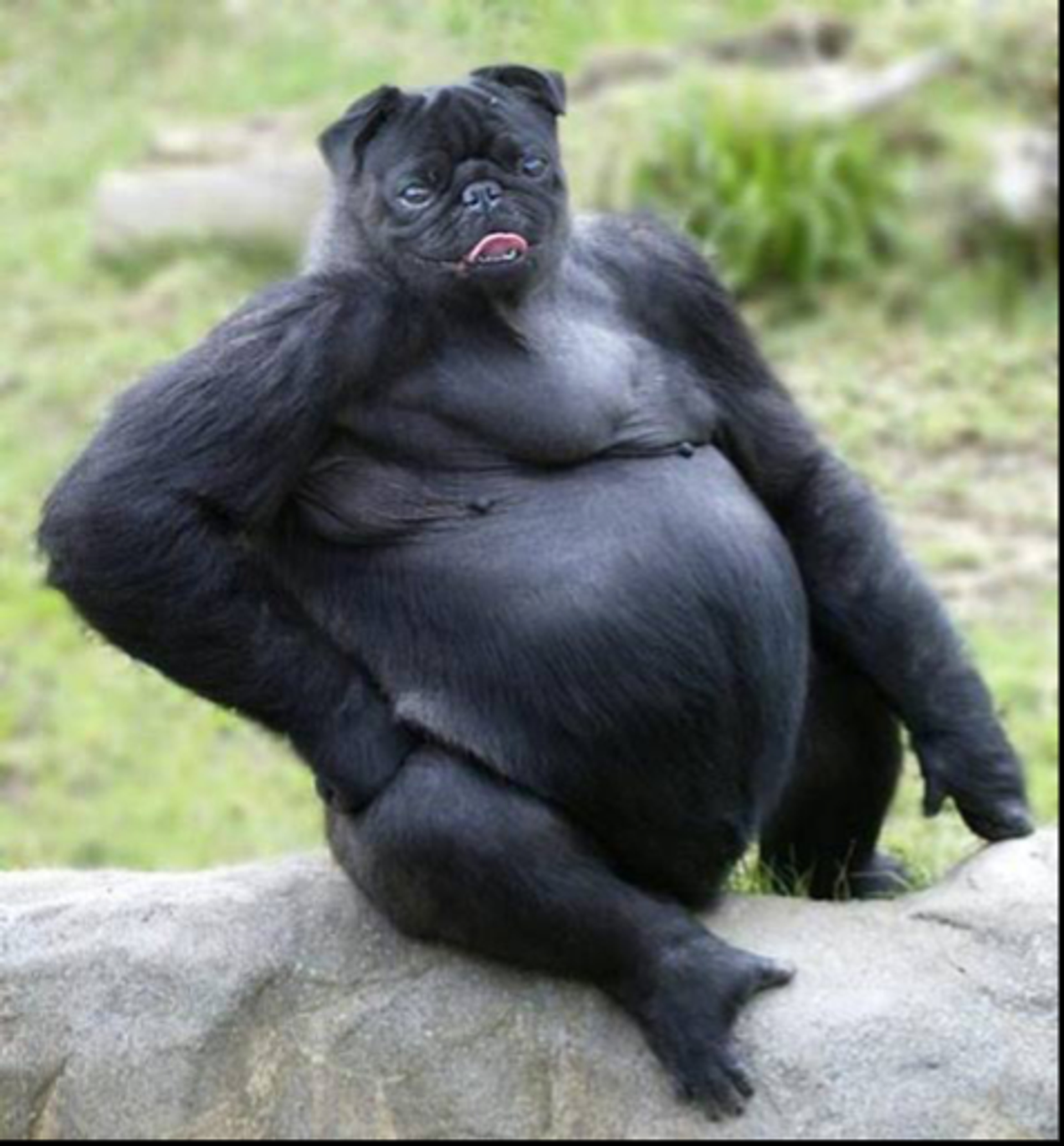 Afbeelding1-1684763890