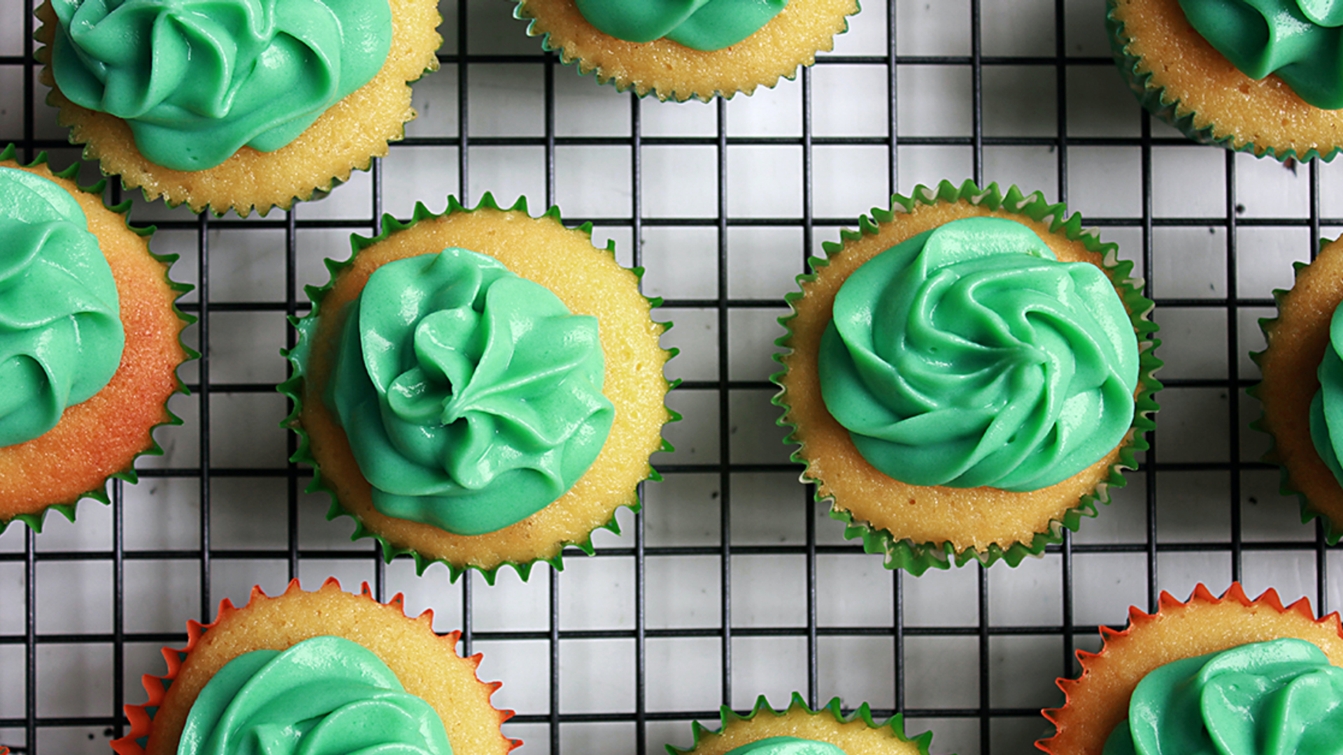 Template_foto_website-1597919265