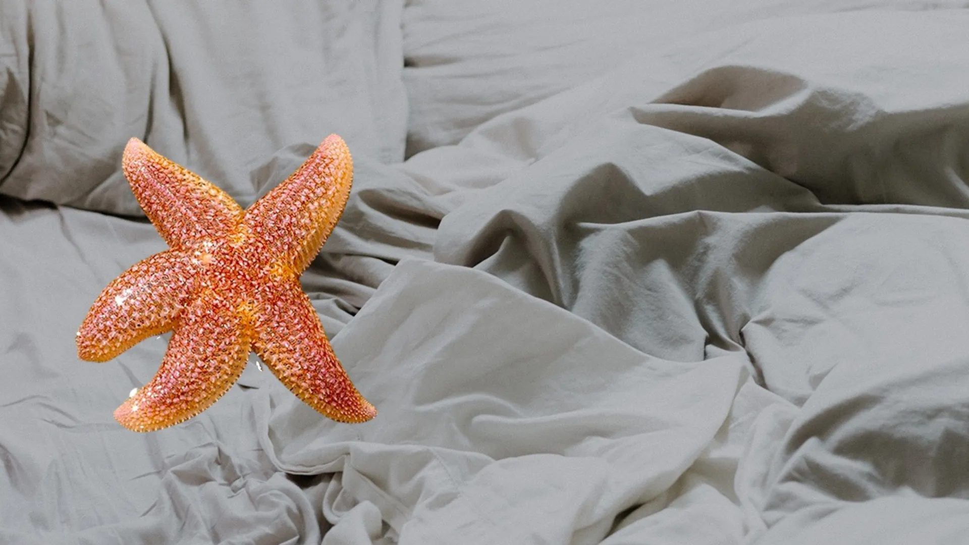 JullieAfknappenSeks_Banner-1663168081