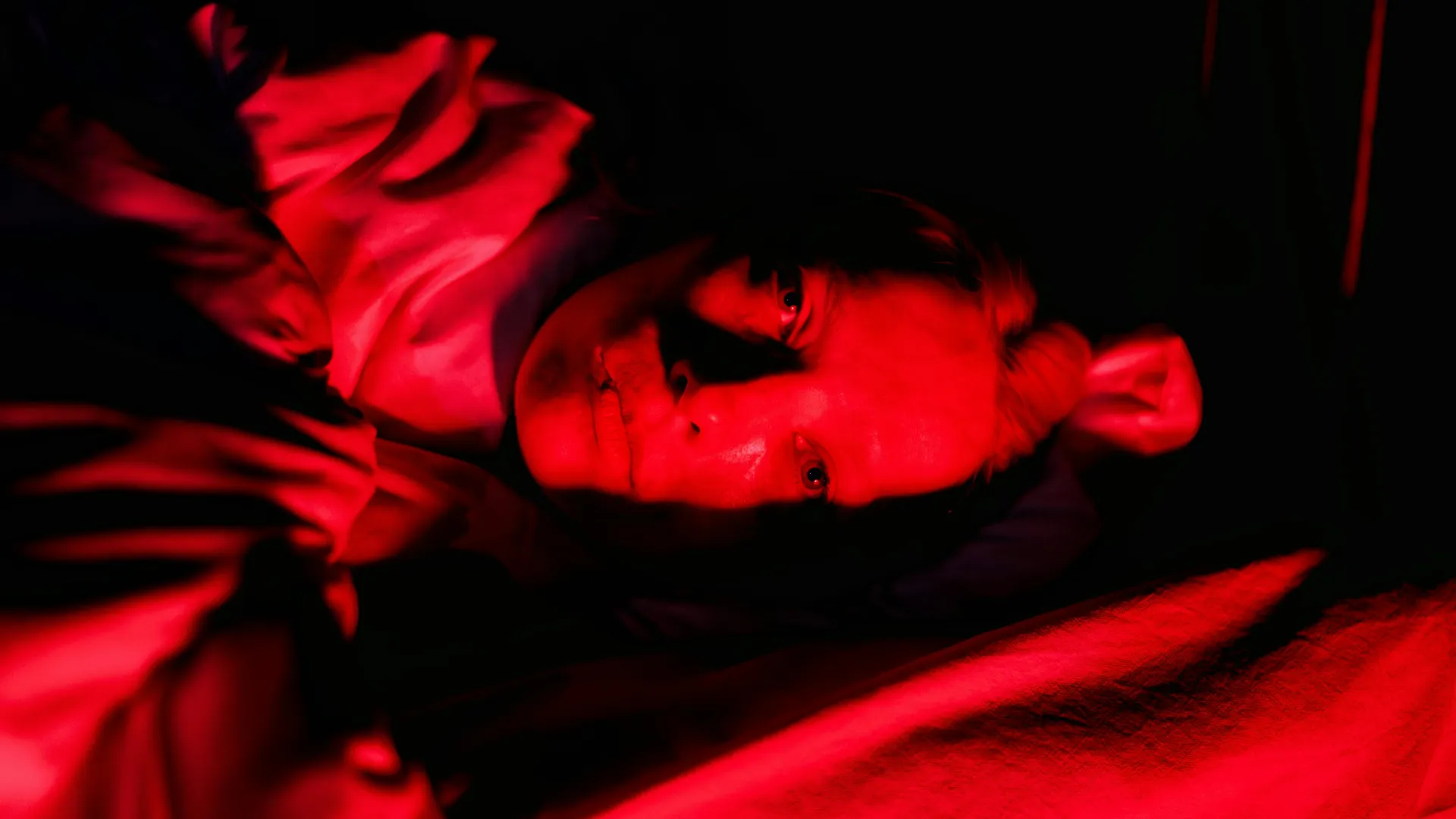 pexels-konrads-photo-29129999-1736852056