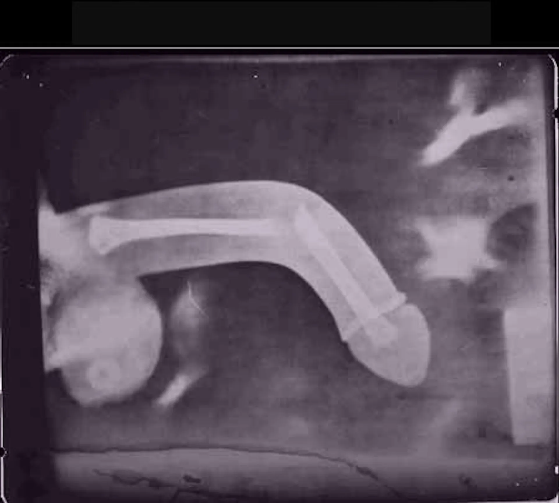 gebroken_piemel-1652710805