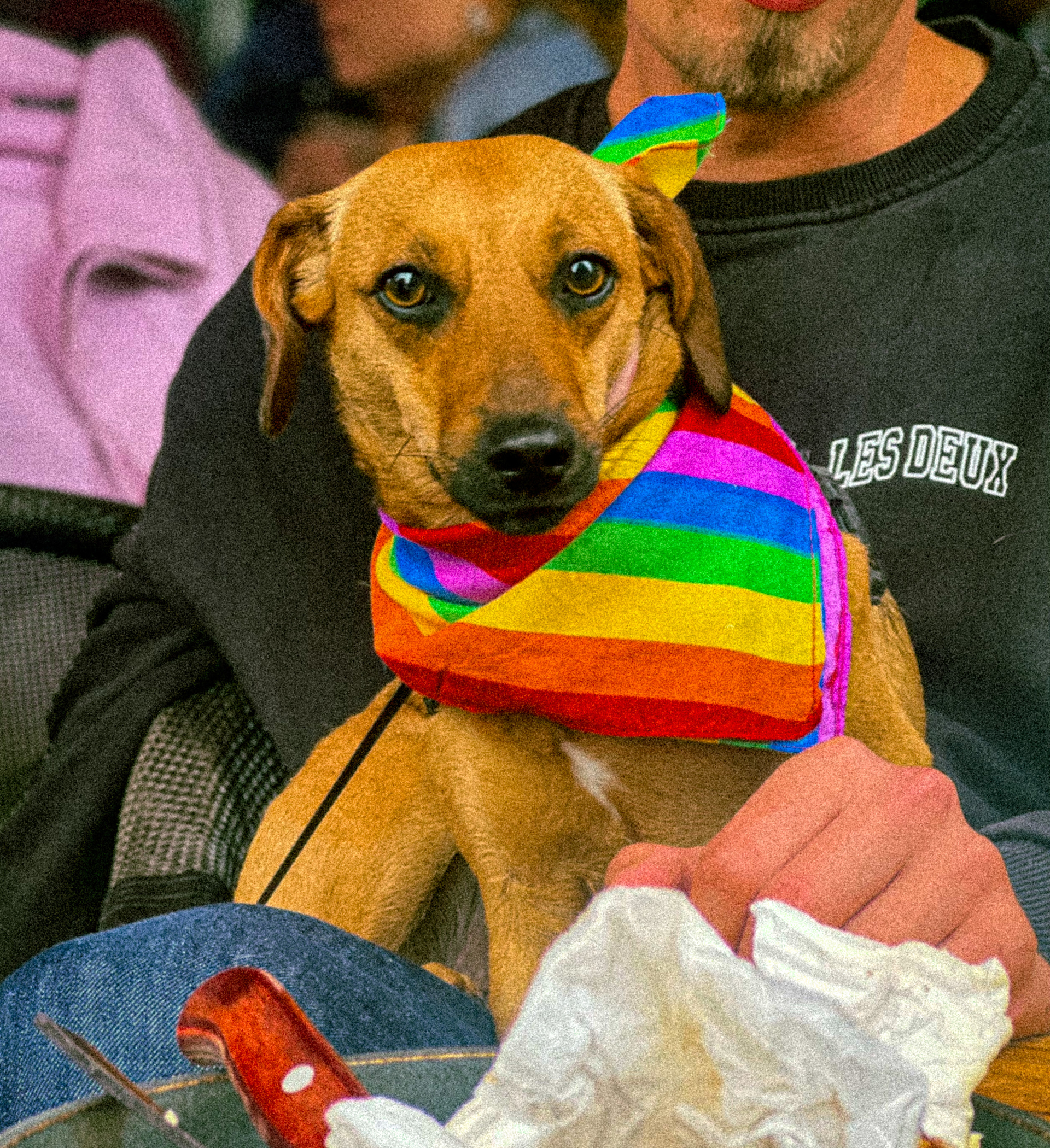 image00009-1691410758