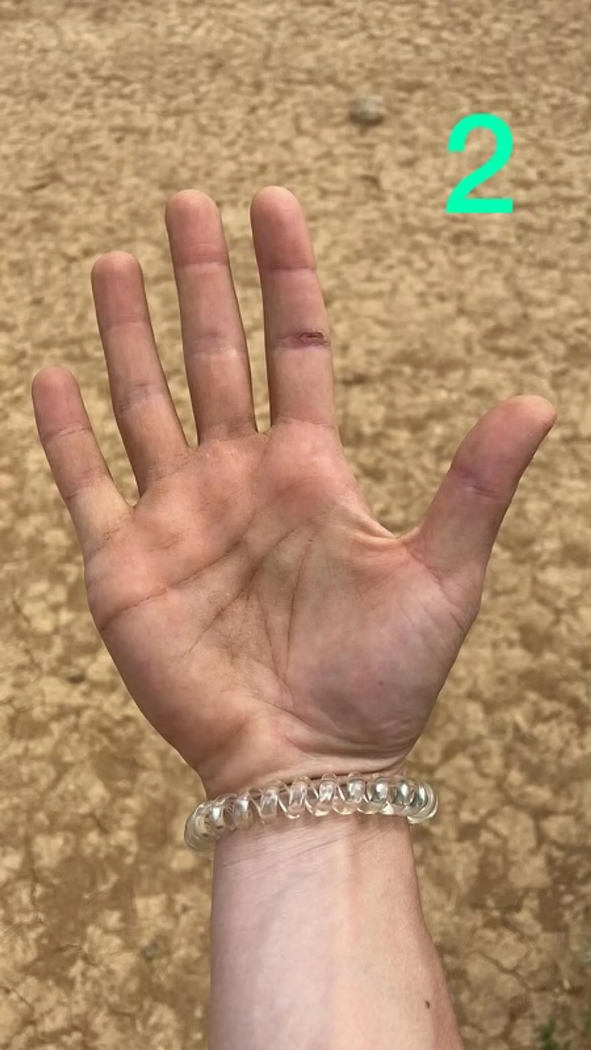 c7675ae8-0797-49d1-9cd5-29e97ac7acb7-1661427188