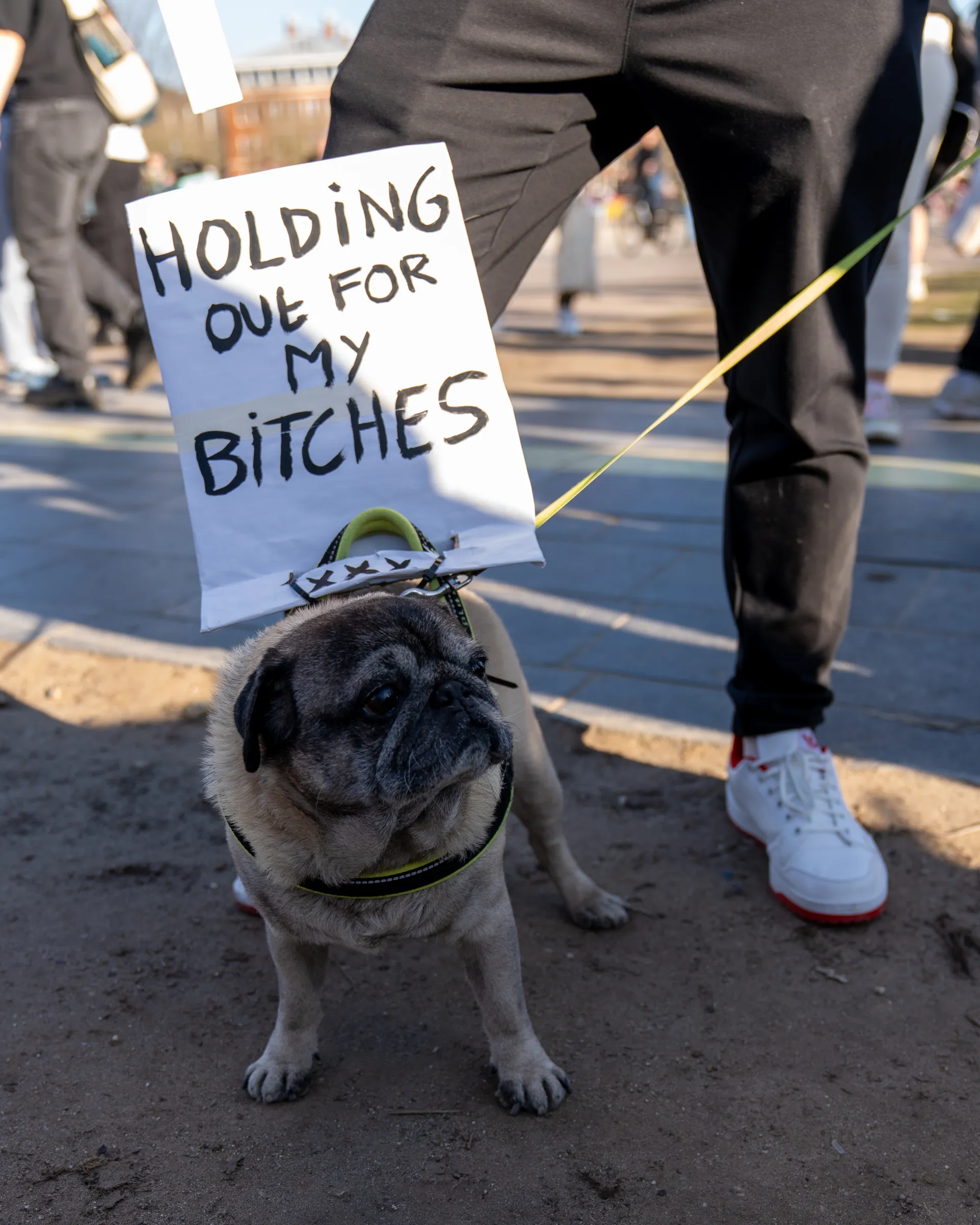 Women_March-42-1741624775