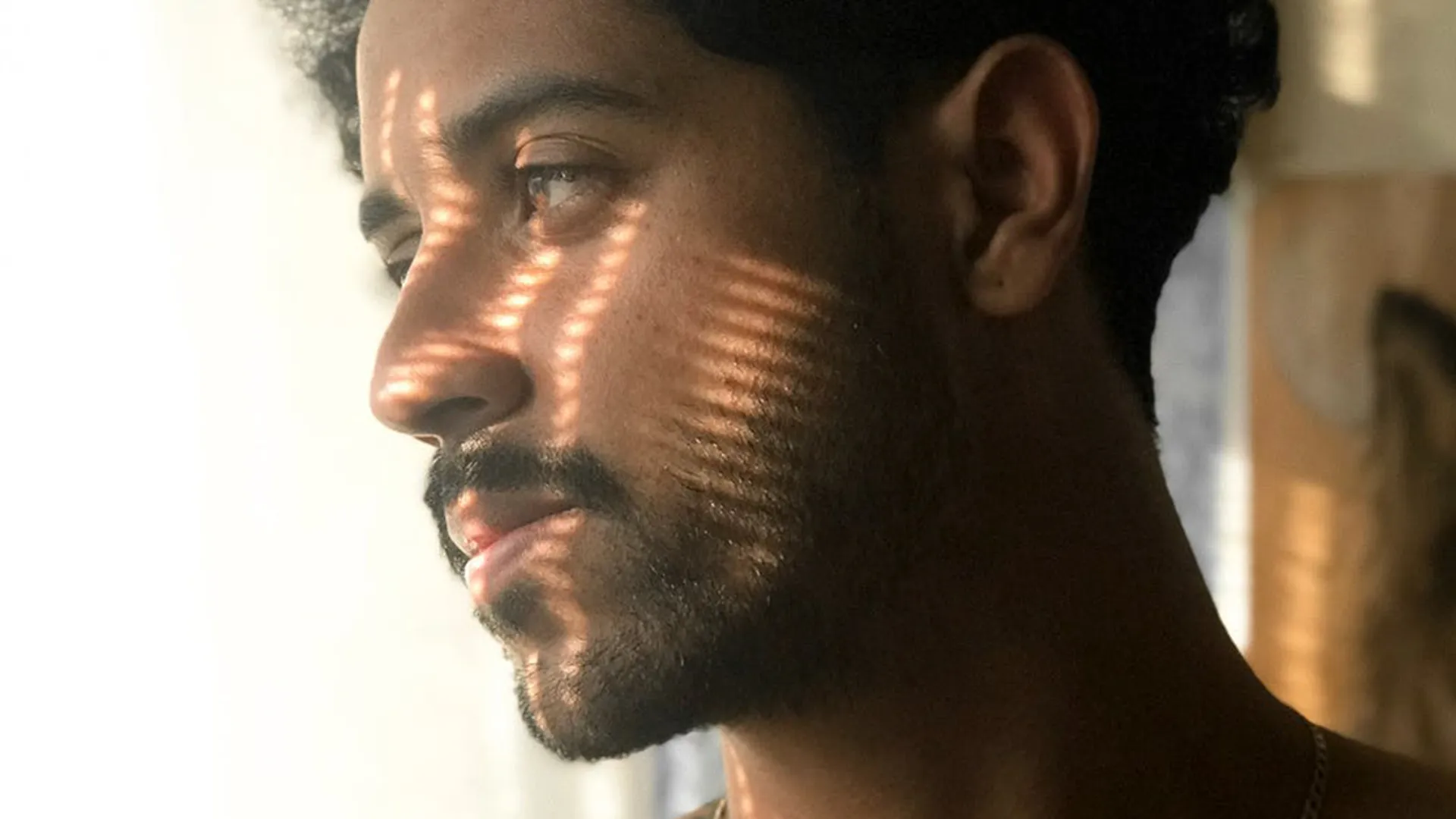 gebroken_piemel_art-1645707802