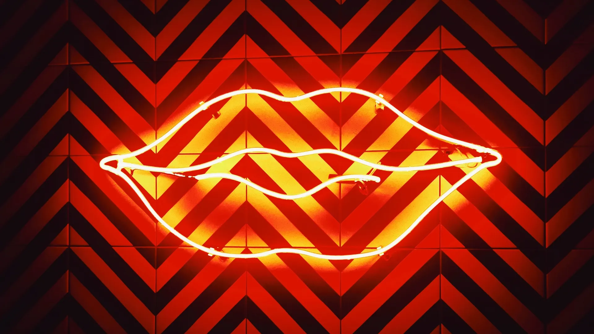 pexels-rafael-de-lancer-3398105-1679586333