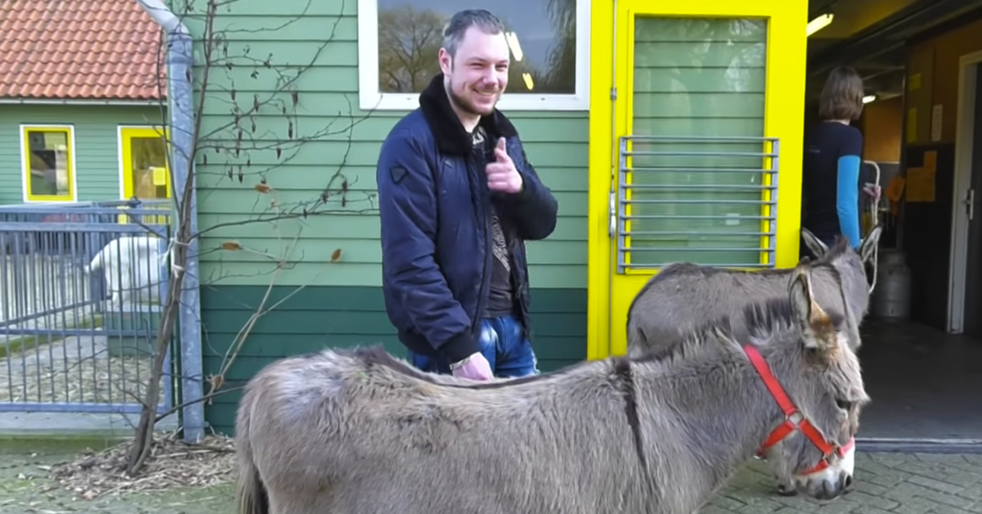 Afbeelding van Kan ik het stoned - Op de kinderboerderij